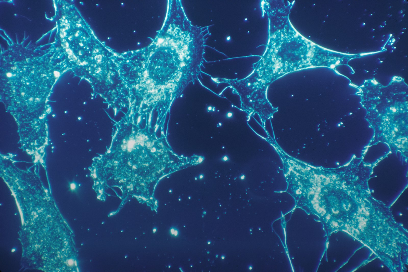 How SoftWave Therapy Activates Your Body's Own Repair Response